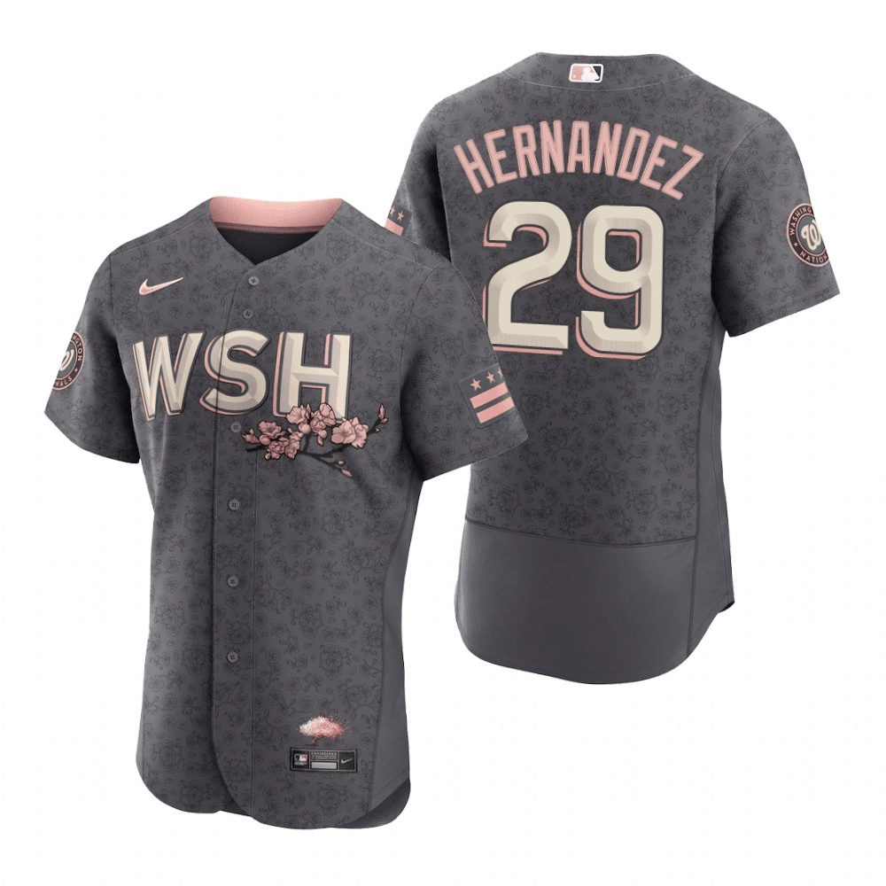 Yadiel Hernandez Washington Nationals 2022 City Connect Grey Baseball Player Jersey
